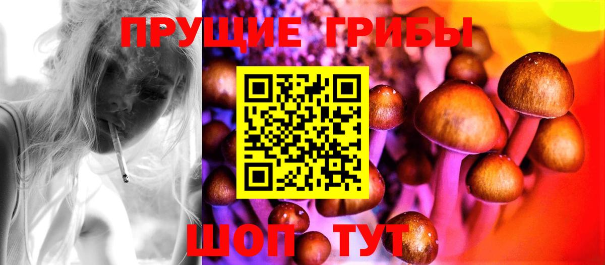 Галлюциногенные грибы ЛСД  Вход с VPN  Чапаевск  Галлюциногенные грибы мухоморы 
