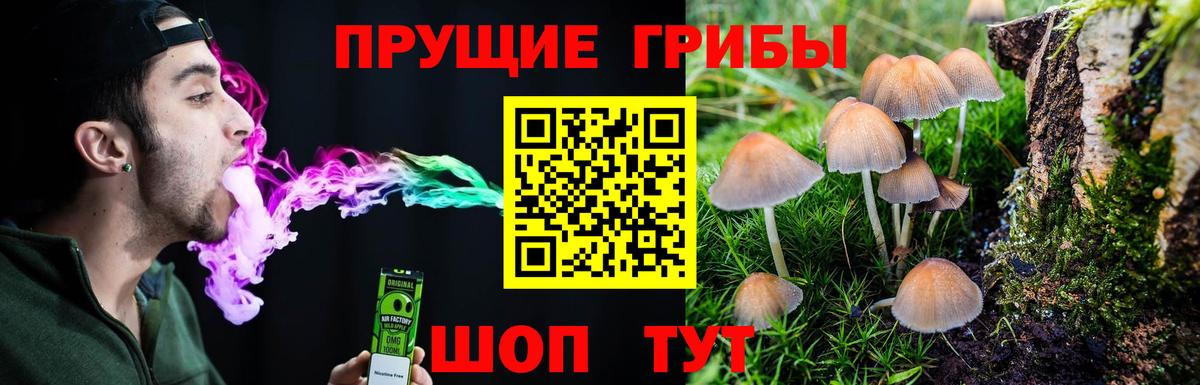 Галлюциногенные грибы Magic Shrooms Чапаевск